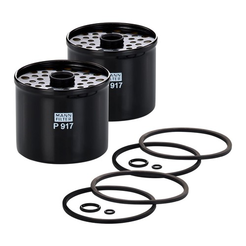 Kraftstofffilter - 2x,